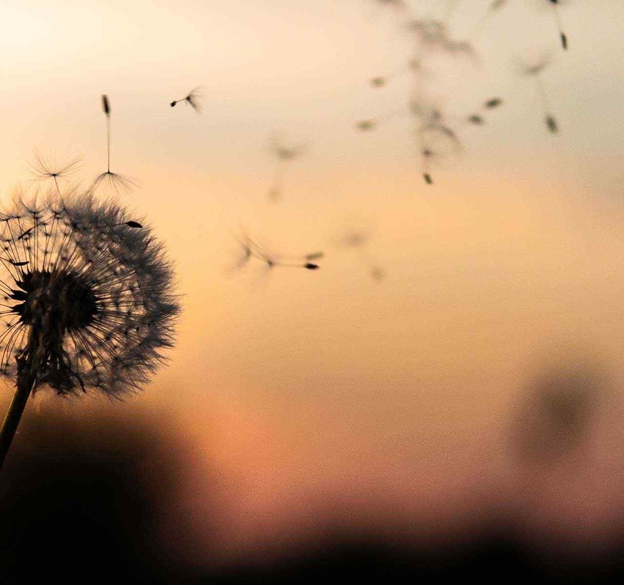 https://bfk-conseil.com/wp-content/uploads/2018/09/post_02-1280x1200.jpg